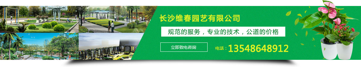 �Gֲ���⡢�������U�������@�־G���޼����@�־G��ʩ��